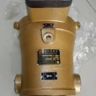 63MCY/63YCY piston pump 1